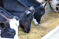 EU-dairy-quota