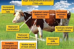 Effects-of-heat-stress-dairy-cows-1406FIRuminants