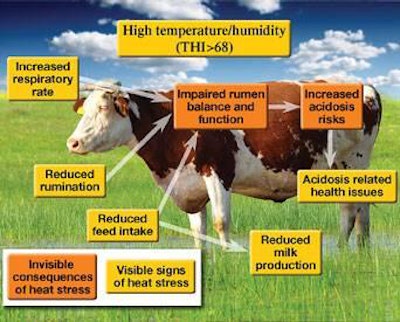 Heat Stress: Handling Cattle Through High Heat Humidity Indexes