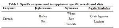 Enzymes-diet-supplements-1207FMfeedenzymes1