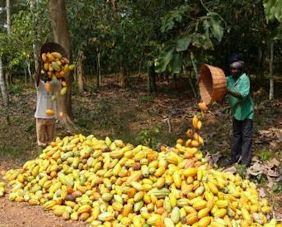 Ghana-cocoa-pods-1508FIAfrica_crop