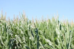 Iowa-corn