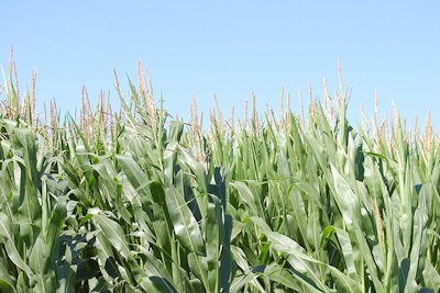 Iowa-corn