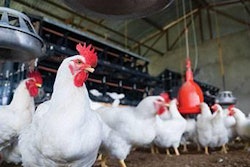 Micronutrients-poultry-feed-1507FMBacktoBasics