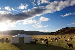 Mongolian-farmers-face-feeding-crisis-1607Mongolia