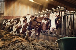 NIRS-dairy-forage