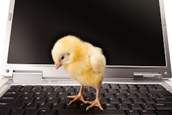 Newborn_small_chicken_and_computer