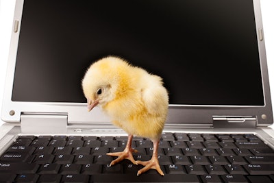 Newborn_small_chicken_and_computer