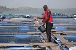 Nutreco-fish-feed-activities-Africa