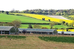 Organic-UK-layers