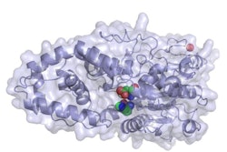 Phytase-1000