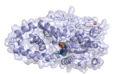 Phytase-1000