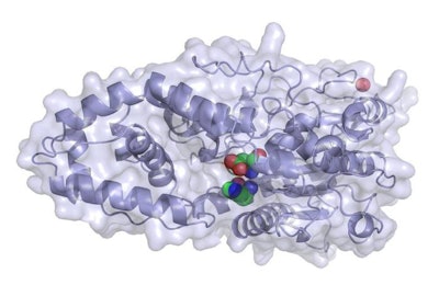 Phytase