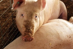 PigInventory