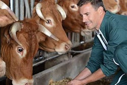 Ruminant-diet-profile-1507FMRuminants1