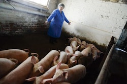 Russian-livestock-antibiotic-usage