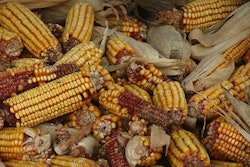 South-Africa-Corn