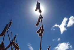 Soybean-Brazil-1502FIbrazil