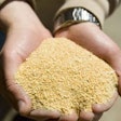 Soybean-meal-in-poulty-diets-1405FMIngredients1