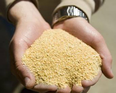 Soybean-meal-in-poulty-diets-1405FMIngredients1