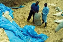 Storage-breeds-mycotoxins-1408FIAfrica4