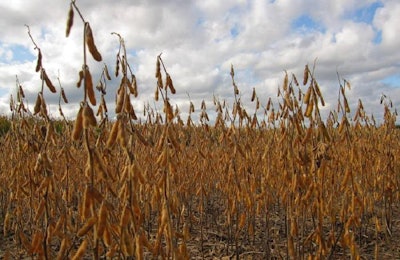 US-soybeans-to-China