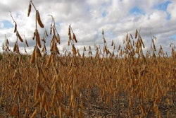 US-soybeans-to-China