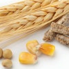 animal-feed-cereals-1608