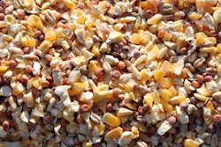 animal-feed-scratch-grains