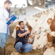 antibiotic-free-livestock-production-europe