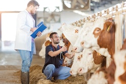 antibiotic-free-livestock-production-europe