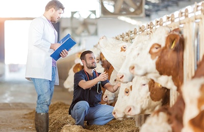 antibiotic-free-livestock-production-europe