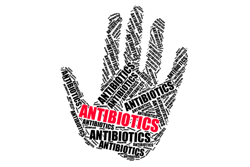 antibiotics-in-animal-feed-1607