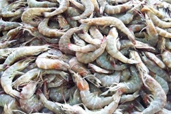 Closeup of Fresh shrimp at the market for sell