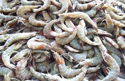 Closeup of Fresh shrimp at the market for sell