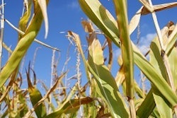 b388a431b5b0b4429f2cbbc30032c850_clientImage_300x168_medium_original_1