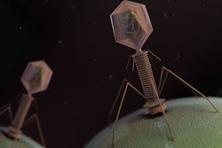 bacteriophage-combats-ecoli