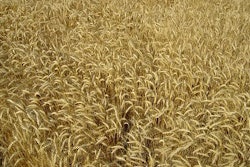 bdaa44162edfa3804425ca50eb356a28_clientImage_300x225_medium_original_1