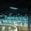 bell-aquaculture-tanks-1412FISustainability1