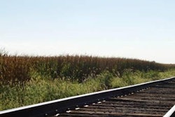 bumper-crops-1503PIGcrops