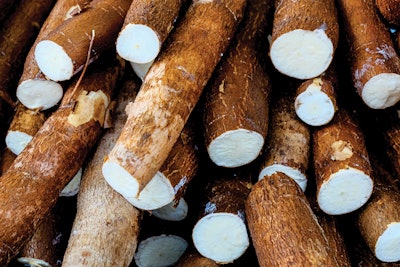 cassava-root-cut