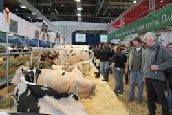 cattle-production-1410FIeurotier1