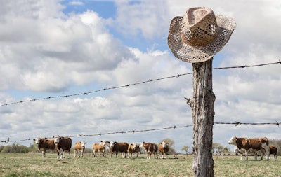 cattle-ranch-cowboy-hat-1610