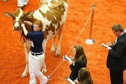 cattle-show-1307FMworlddairyexpo