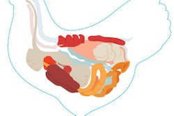 chicken-anatomy-digestive-system-inside-view