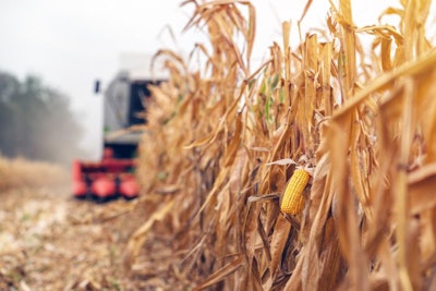 combine-corn-field