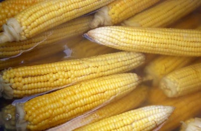 corn-1000