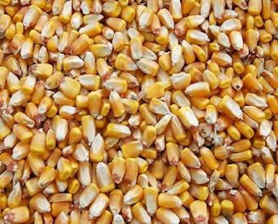 corn-ethanol-1408USAcrops