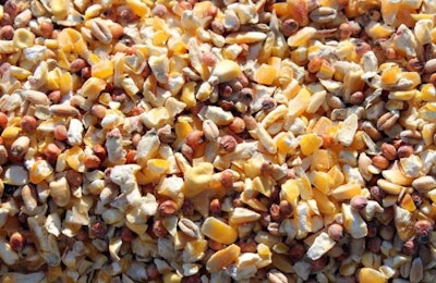 corn-feed