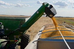 corn-harvest